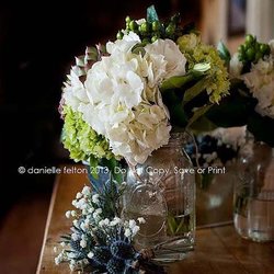 White Pine & Petals - Succulents