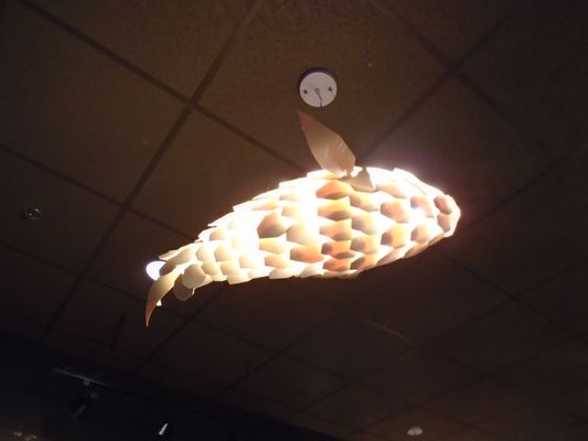 Ootori Sushi by null