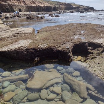 Point Loma Tide Pools - tidepools - Beaches Near Me - San Diego, California