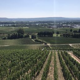 Beautiful views, the Rhein in the backdrop Beautiful views, the Rhein in the backdrop