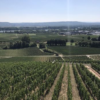 Schloss Johannisberg - Beautiful views, the Rhein in the backdrop - Landmarks & Historical Buildings Near Me - Geisenheim, HE Schloss Johannisberg - Beautiful views, the Rhein in the backdrop - Landmarks & Historical Buildings Near Me - Geisenheim, HE