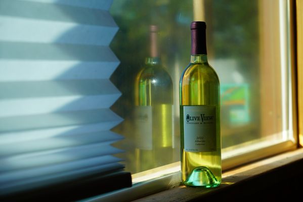 Temecula Olive Oil Company by null