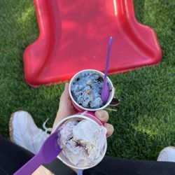 Mandeville Creamery - Cookie Monster and mixed berry cheesecake