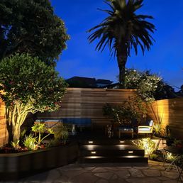 a garden at night