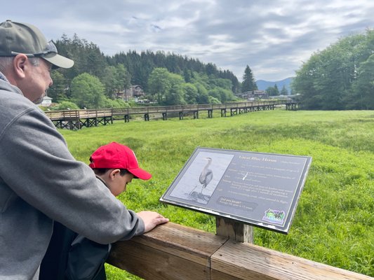 Alaska Rainforest Sanctuary by null