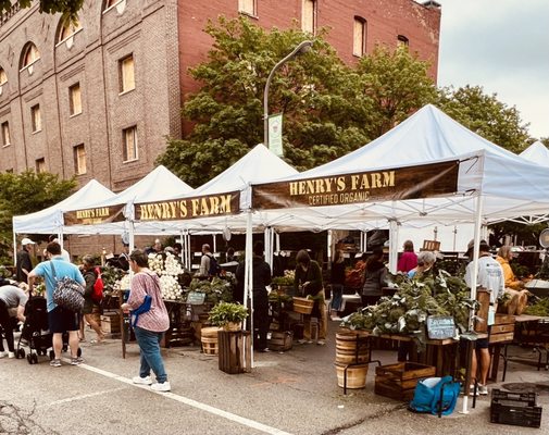 Evanston Farmers' Market by null