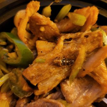 Fat Dragon - Asian Fusion Near Me - Austin, Texas Fat Dragon - Asian Fusion Near Me - Austin, Texas