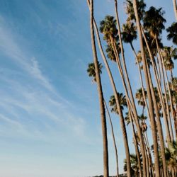 Cabrillo Beach Bike Path - 70 in January