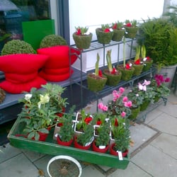 Bloombox
