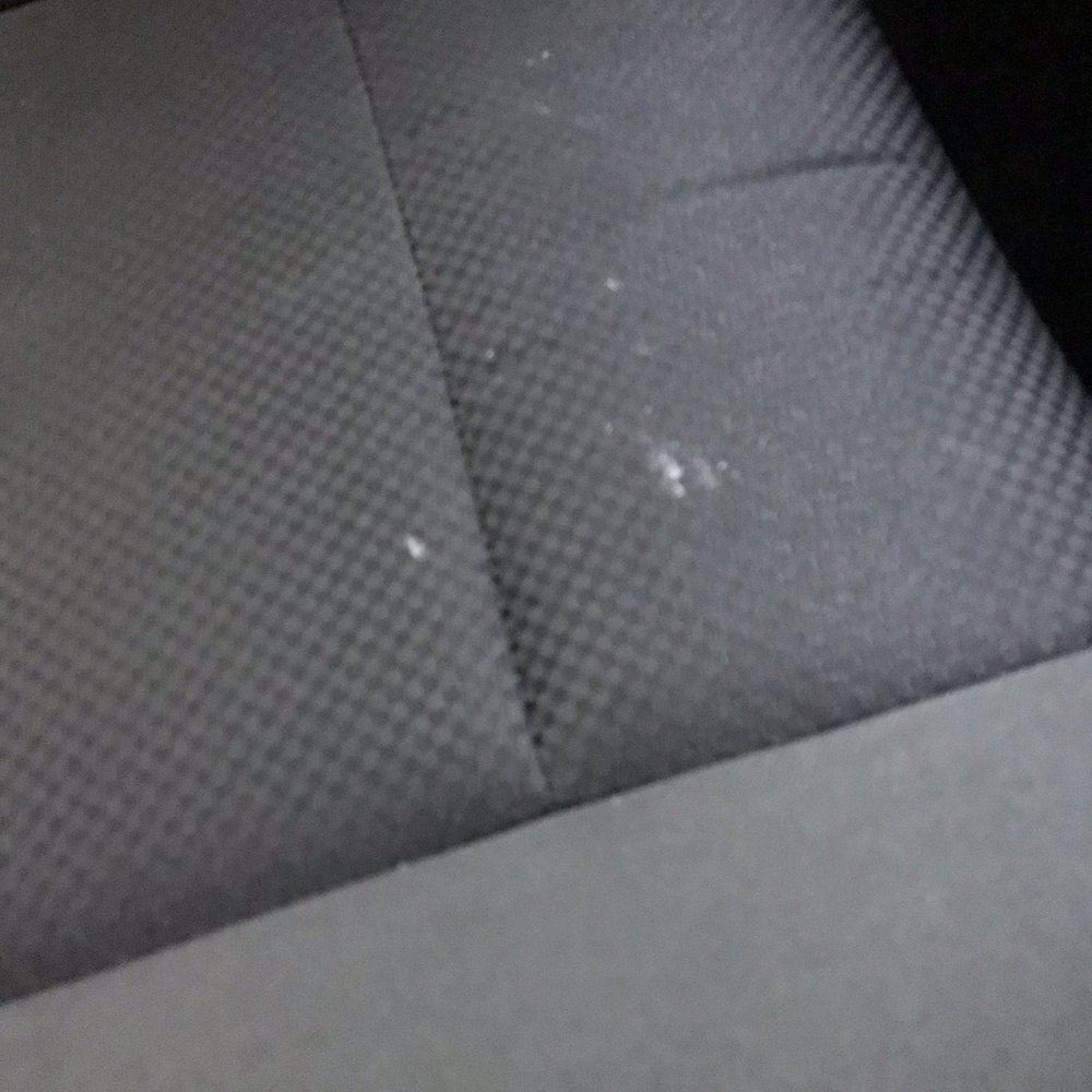 Pineda's Auto Detailing - Masa that wasn't removed from my seat :( - Auto Detailing Near Me - Santa Ana, California Pineda's Auto Detailing - Masa that wasn't removed from my seat :( - Auto Detailing Near Me - Santa Ana, California