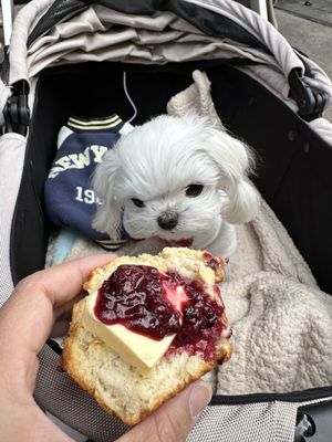 Mary O's Irish Soda Bread Shop by null