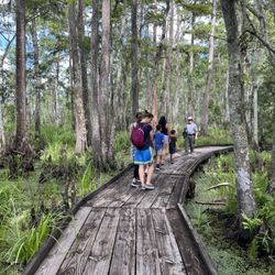 Jean Lafitte National Historic Park and Preserve