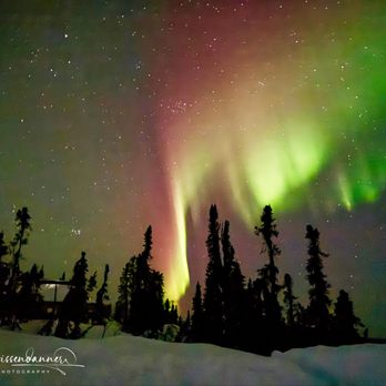 Moose Cab & Tours - Taxis Near Me - Fairbanks, Alaska Moose Cab & Tours - Taxis Near Me - Fairbanks, Alaska