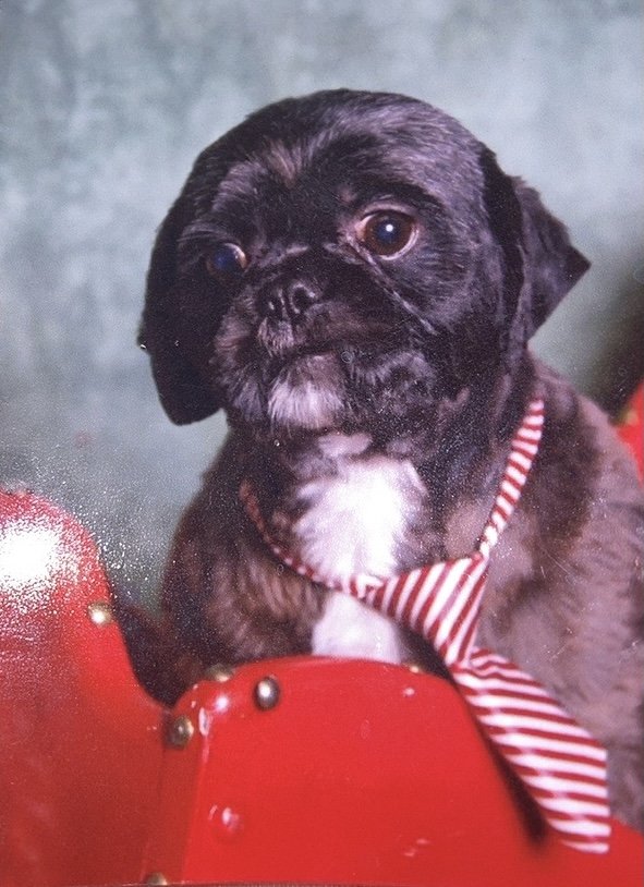 LITTLE AUTO Updated March 2024 101 SW 9th St, Oak Grove