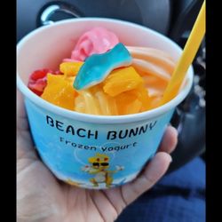Beach Bunny - Yummy frozen yogurt. Good selection of toppings