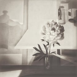 Gallery 1855 - Dee Conway June 2016 Exhibition
