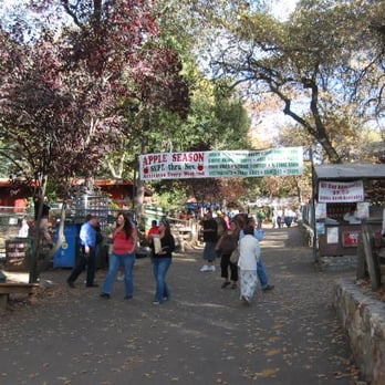 Oak Tree Mountain - Amusement Parks Near Me - Oak Glen, California Oak Tree Mountain - Amusement Parks Near Me - Oak Glen, California