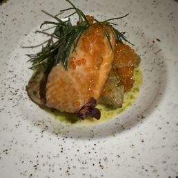 Salmon Salmon
