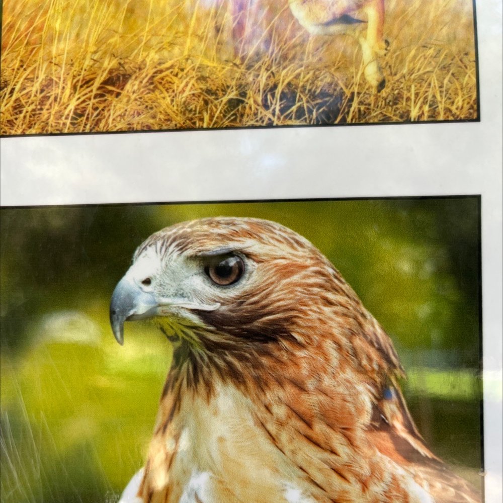 FLINN SPRINGS COUNTY PARK Updated October 2024 52 Photos & 13