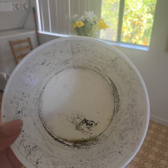 Silverlake Ramen - Charcoal smelling - burnt bits floating through the broth. This is just what was left behind after pouring it out. - Ramen Near Me - Burbank, California