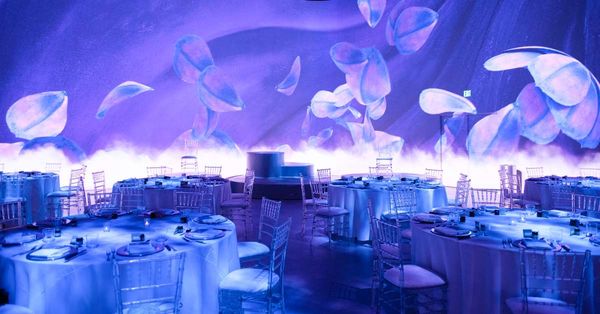Illuminarium Las Vegas by null