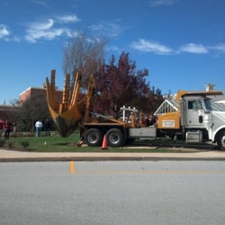 Tri-Color Tree Transplanting and Nursery