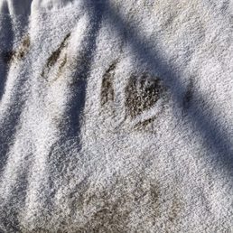 Wipe down towel after second trip thru car wash. Wipe down towel after second trip thru car wash.