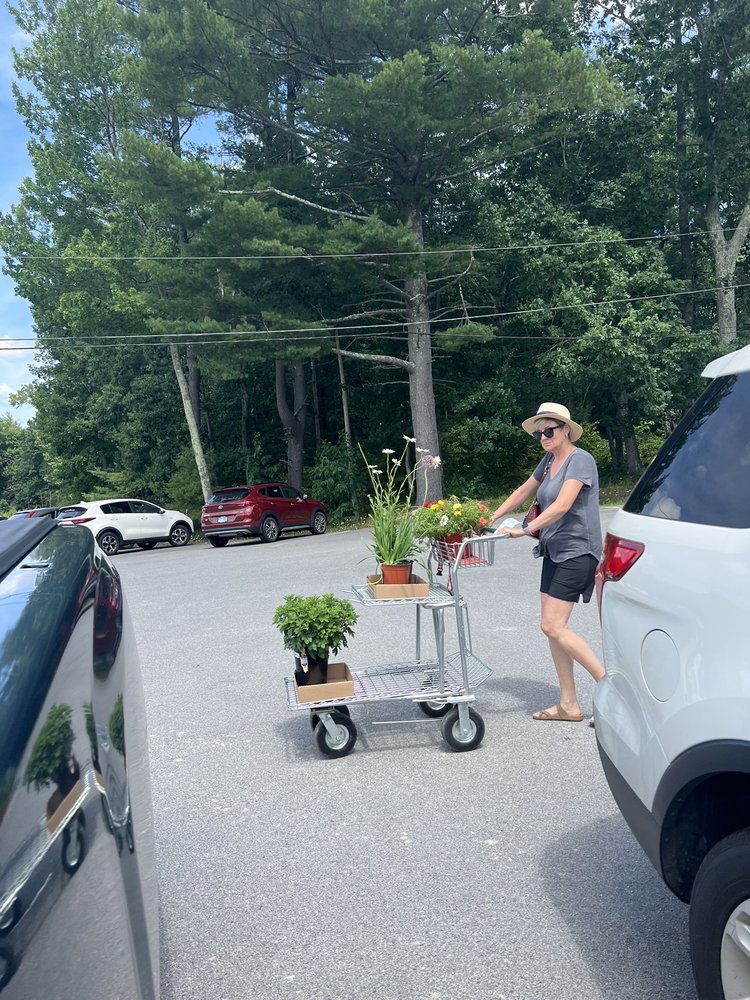 LAKE STREET GARDEN CENTER Updated October 2024 21 Reviews 37 Lake