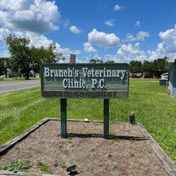 BRANCH'S VETERINARY CLINIC - Updated August 2025 - 740 S