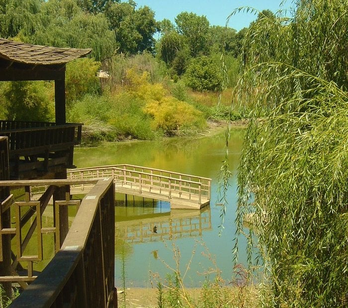LOTUS GARDENS CLOSED Updated September 2024 7915 McHenry Ave