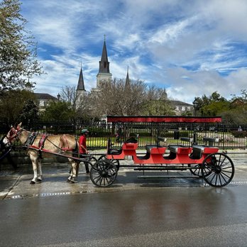 Royal Carriages - Historical Tours Near Me - New Orleans, Louisiana