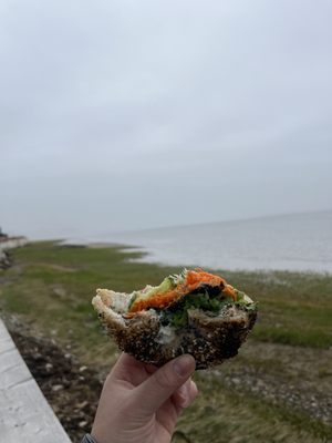 Rover Bagel by null Rover Bagel by null