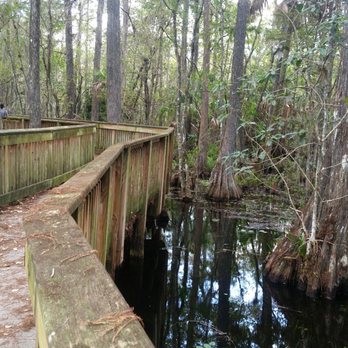 Kirby Storter Roadside Park - Cool and breezy in October - Parks Near Me - Ochopee, Florida