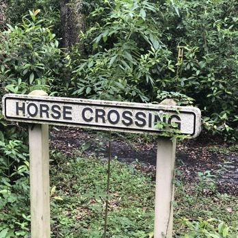 Pine Island Ridge - Parks Near Me - Davie, Florida