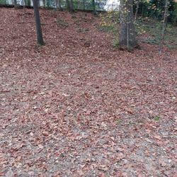 Emily Douglas Dog Park