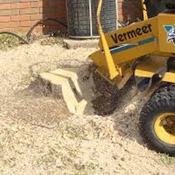 Xtream Stump Grinding - the front end of the machine - Tree Services Near Me - Margate, Florida