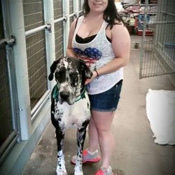 Mount Carmel Pet Hospital