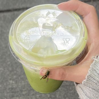 Ugly Mug Cafe & Coffee Roasters - U District - banana cream matcha - Breakfast & Brunch Near Me - Seattle, Washington Ugly Mug Cafe & Coffee Roasters - U District - banana cream matcha - Breakfast & Brunch Near Me - Seattle, Washington