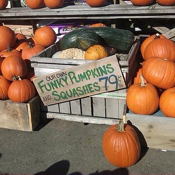 Wilson Farm - funky pumpkins - Fruits & Veggies Near Me - Lexington, Massachusetts Wilson Farm - funky pumpkins - Fruits & Veggies Near Me - Lexington, Massachusetts