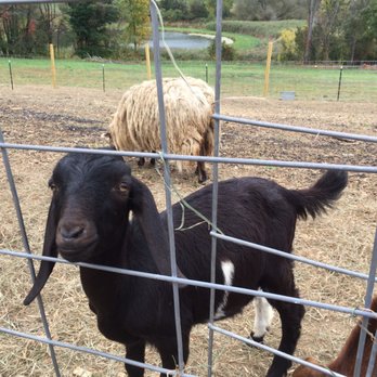 Apple Ridge Orchards - Pick Your Own Farms Near Me - Warwick, New York