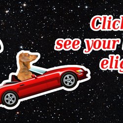 A Better Way Pet Care