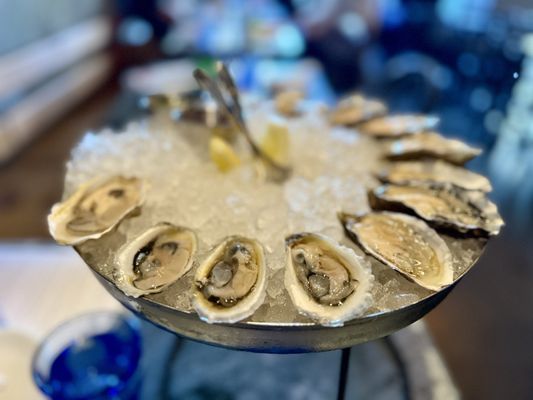 The Anchovy Bar by null