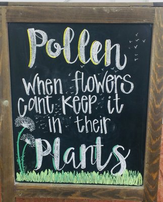 Hemline Vinings by null