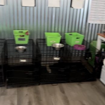 Aly's Puppy Boot Camp - Screenshot from a video, there were 15 crates just in this shed. Not transferable to a home environment. - Pet Training Near Me Aly's Puppy Boot Camp - Screenshot from a video, there were 15 crates just in this shed. Not transferable to a home environment. - Pet Training Near Me