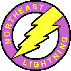 Northeast Lightning Protection - Northeast Lightning Protection LLC Logo
