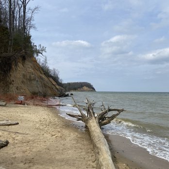 Calvert Cliffs State Park - Beach - Parks Near Me