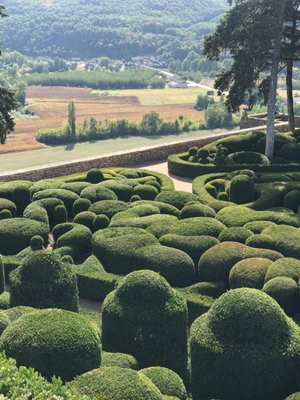 The Marqueyssac Gardens by null