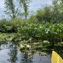 Photo of Village Canoe Rental