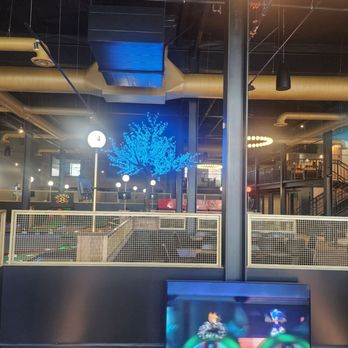 Birdeez - TV in the sitting area and view of top floor. Love the tree and it turns colors. - Recreation Centers Near Me - Reno, Nevada