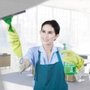 Pristine Clean Services